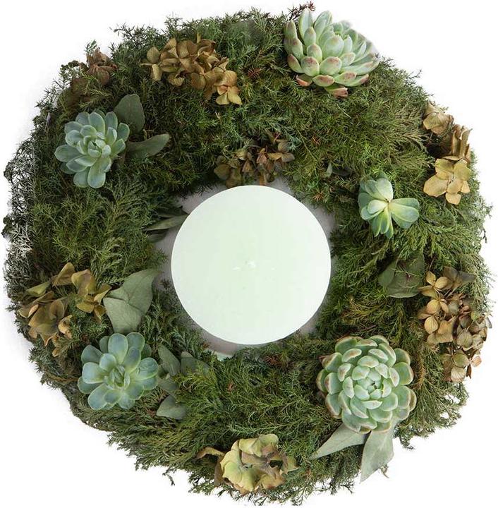Immagine prodotto VEG and the City Reti (40 cm)
