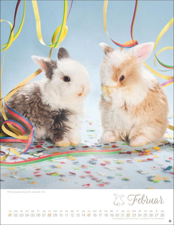Produktbild Kaninchenkinder Posterkalender 2026 (34 x 44 cm, Harter Einband, Deutsch)