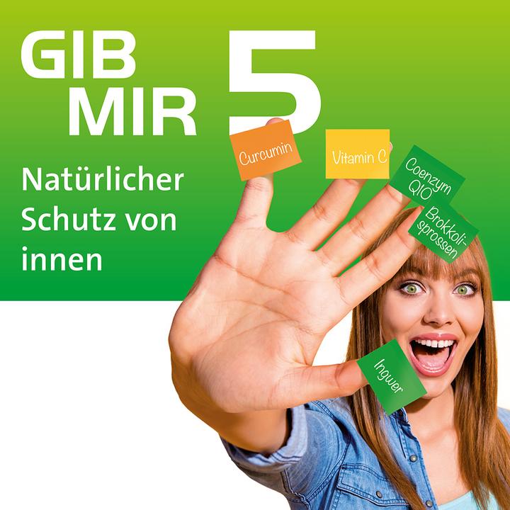 Produktbild Hevert Curcumin Protect 60 (60 Stück, Kapseln, 60 g)