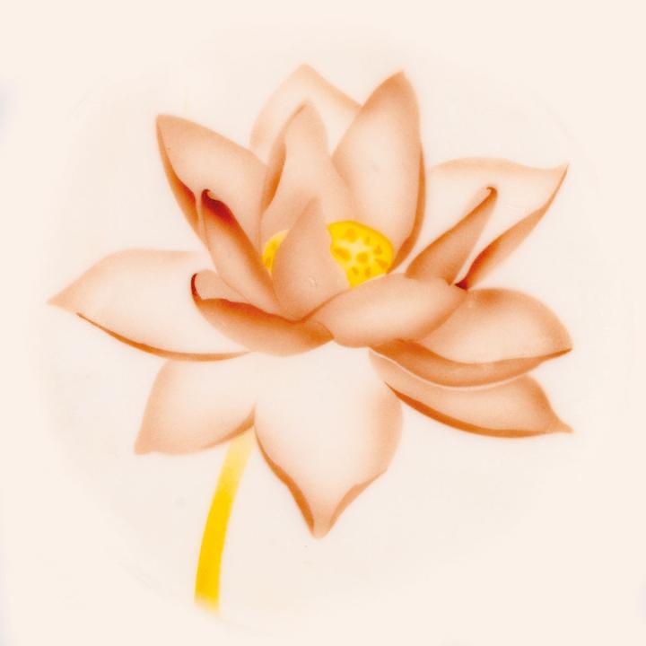 Image du produit Martellato Pochoir Airbrush Fleur de lotus