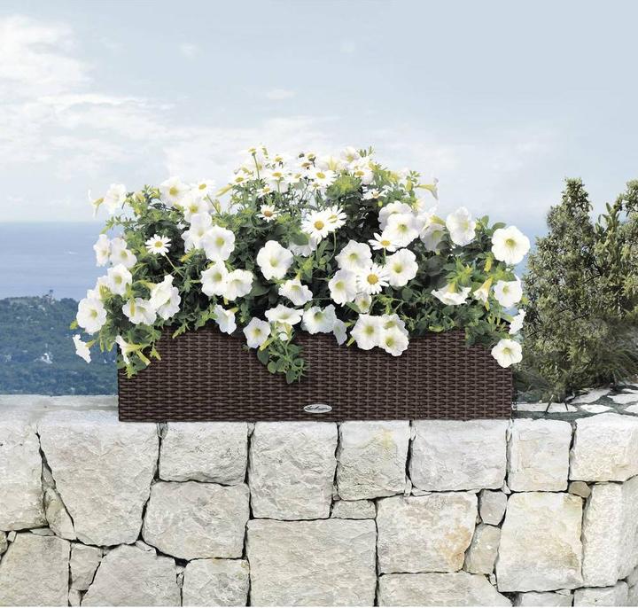 Produktbild Lechuza Balconera Cottage (19 cm)