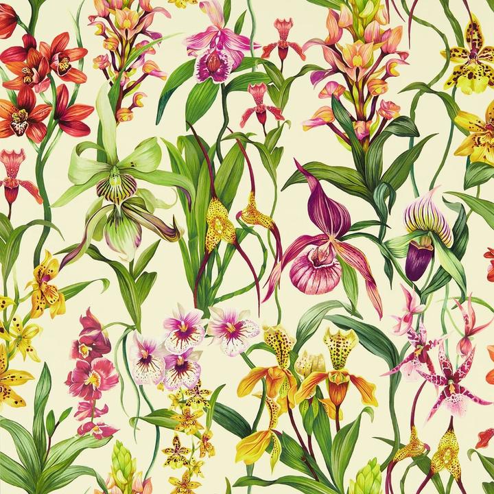 Actual product image Harlequin Kalina Botanical Wallpaper