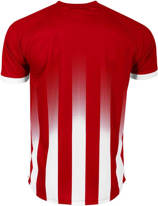 Actual product image Stanno Vivid jersey (L)