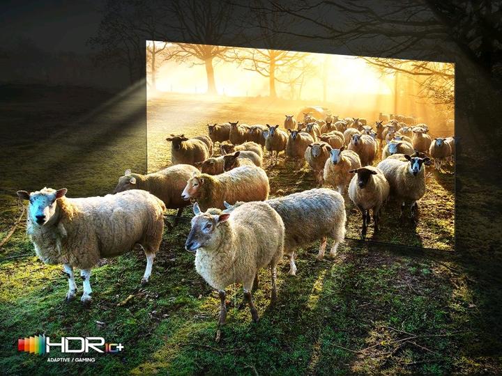 Produktbild Samsung QE85QN900BTXZT (85", NeoQLED, 8K, 2022)