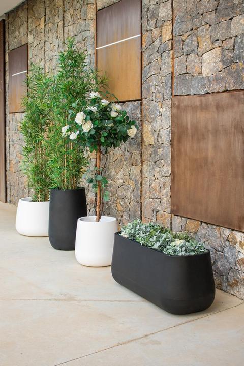 Produktbild Newgarden Camelia 60 (59 cm)