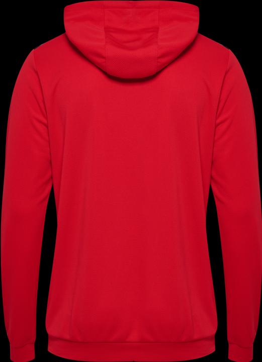 Actual product image hummel Hmlauthentic Pl Hoodie (XS)