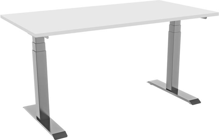 Celexon elektrisch höhenverstellbarer Schreibtisch Professional eAdjust-58123 - grau, inkl. Tischpl