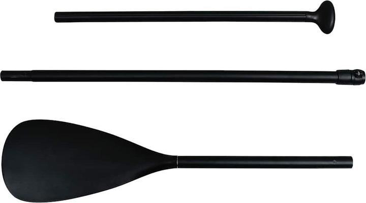 Immagine prodotto VidaXL Noe (10')