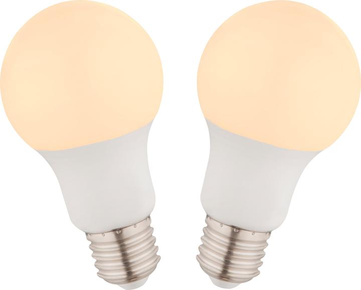 Globo Ampoule LED Aluminium 2xE27 LED (E27, 9 W, 810 lm, 2 x, F)