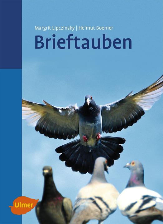 Immagine prodotto Brieftauben (Tedesco, Helmut Boerner, Margrit Lipczinsky, 2011)