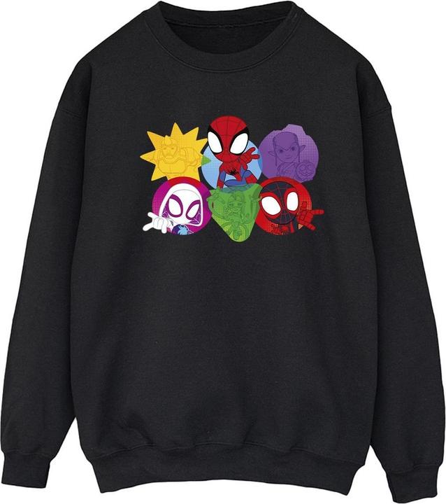 Produktbild Spidey And His Amazing Friends Faces Sweatshirt (3XL)