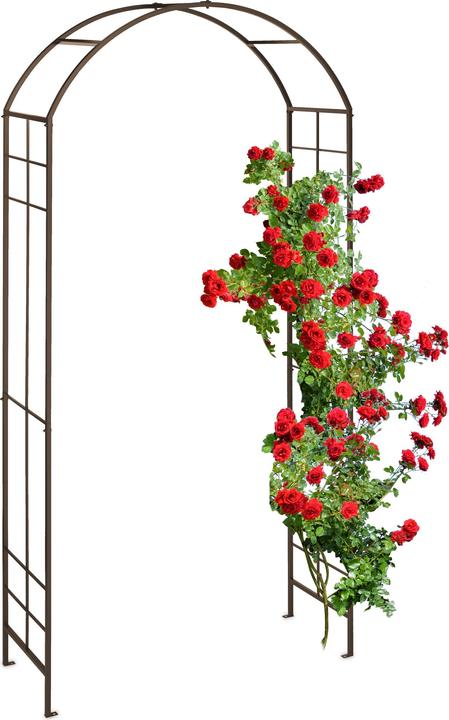Productafbeelding Relaxdays Rozenboog (41 cm, 110 cm)