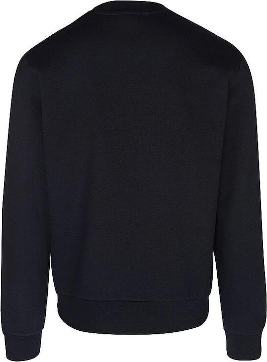 Actual product image Lacoste Jumper (XXL)