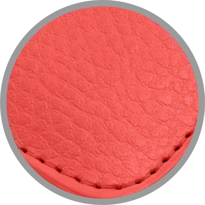 Image du produit Cadorabo Pochette 3 cartes (Apple iPhone 13 Pro)