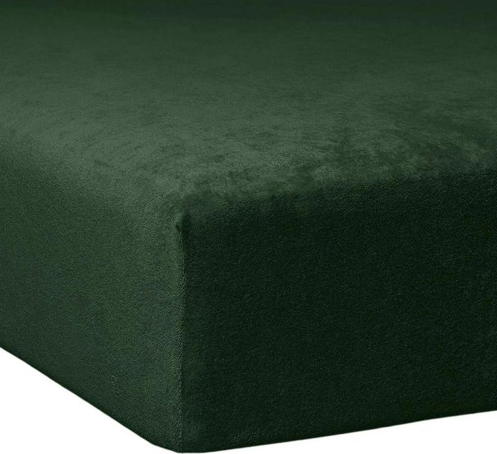 Actual product image Traumschlaf Fluffy beaver (200x200 cm, 180x200 cm)