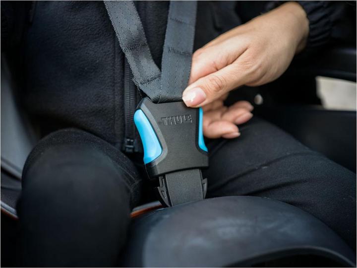 Produktbild Thule RideAlong 2 (Velorahmen)