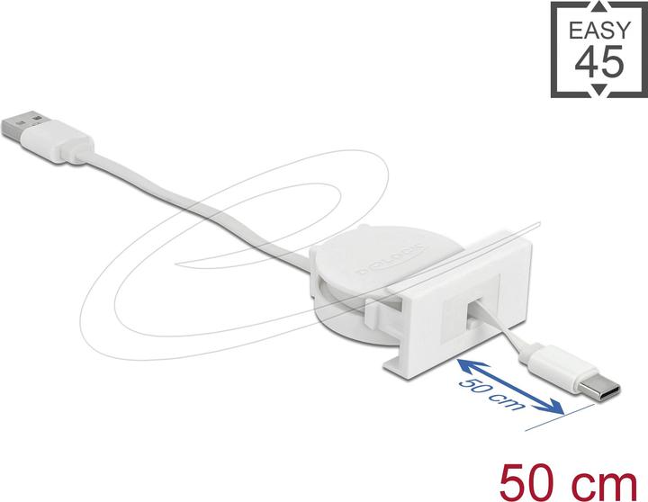 Delock USB A — USB C (0.62 m, USB 2.0)