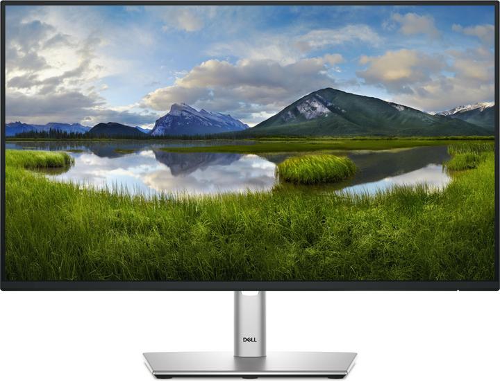 Dell P2425H (1920 x 1080 pixels, 23.80")