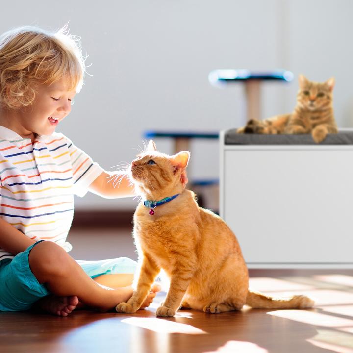 Produktbild Relaxdays Katzenschrank (Katzenklo geschlossen)