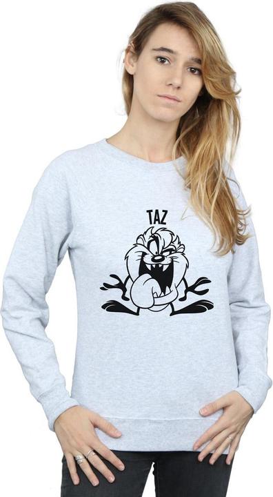 Actual product image Looney Tunes Womens/Ladies Taz Large Head Sweatshirt (M)