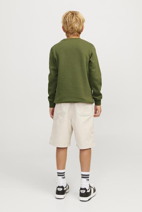Actual product image Jack & Jones Jcomountain Logo Sweat Crew Neck Sn Jnr (164)