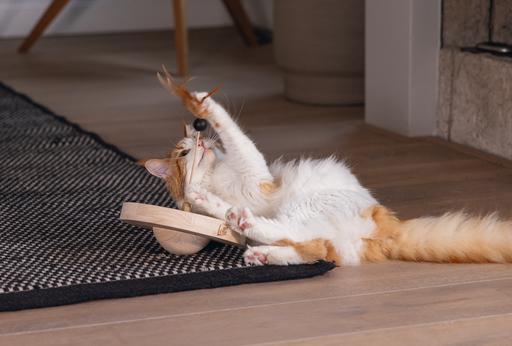 Actual product image Designed by Lotte Winni (Catmint toy)