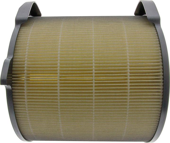 Produktbild Flickbee Filter zu Electrolux Pure A9- ersetzt EFDBTH4 (1 x)