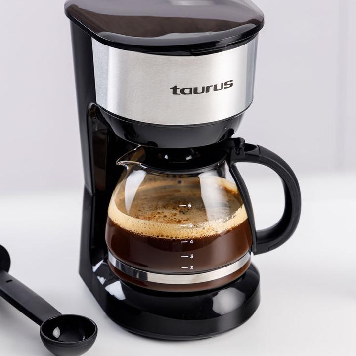 Actual product image Taurus Verona 6 Inox