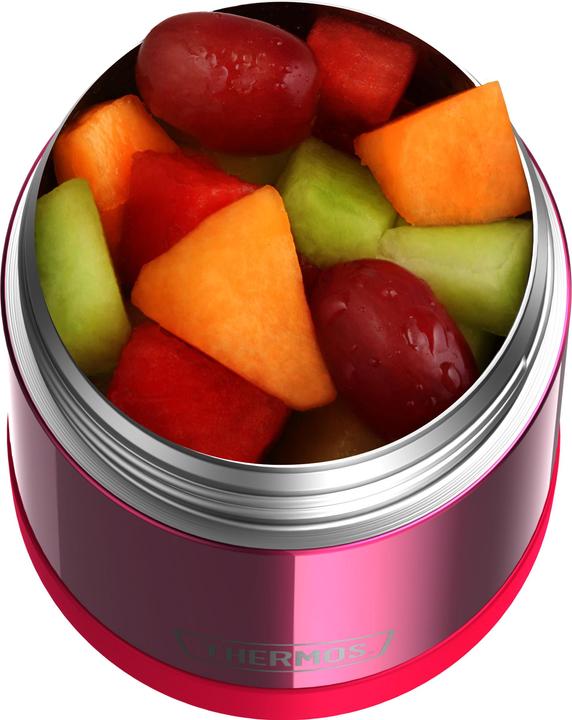 Actual product image Thermos Funtainer