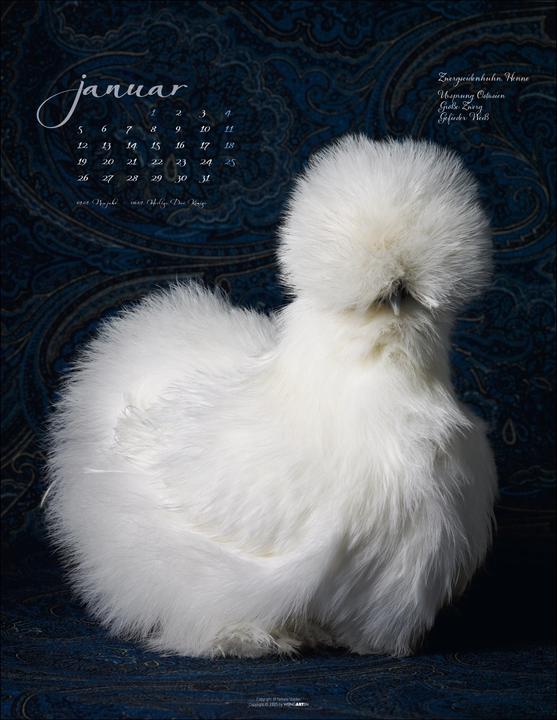 Produktbild Pretty Chicks Kalender 2026 (34 x 44 cm, Deutsch)