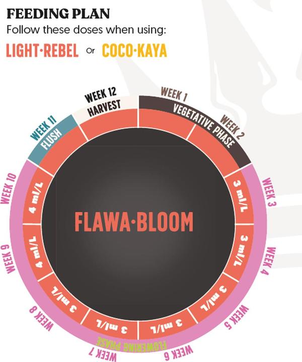 Actual product image BioBizz JuJu Royal Flowa Bloom 5L (6 kg, 5 l)