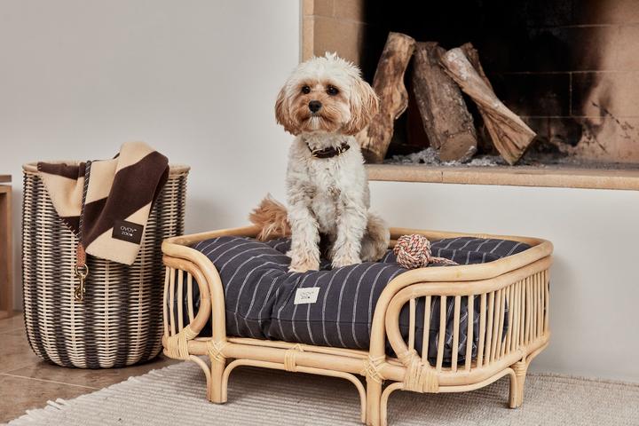 Produktbild Oyoy Hunde-Bett Otto (Hund)