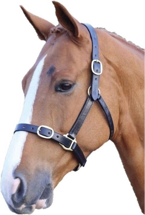 Universal Textiles Leather Horse Halter Adjustable