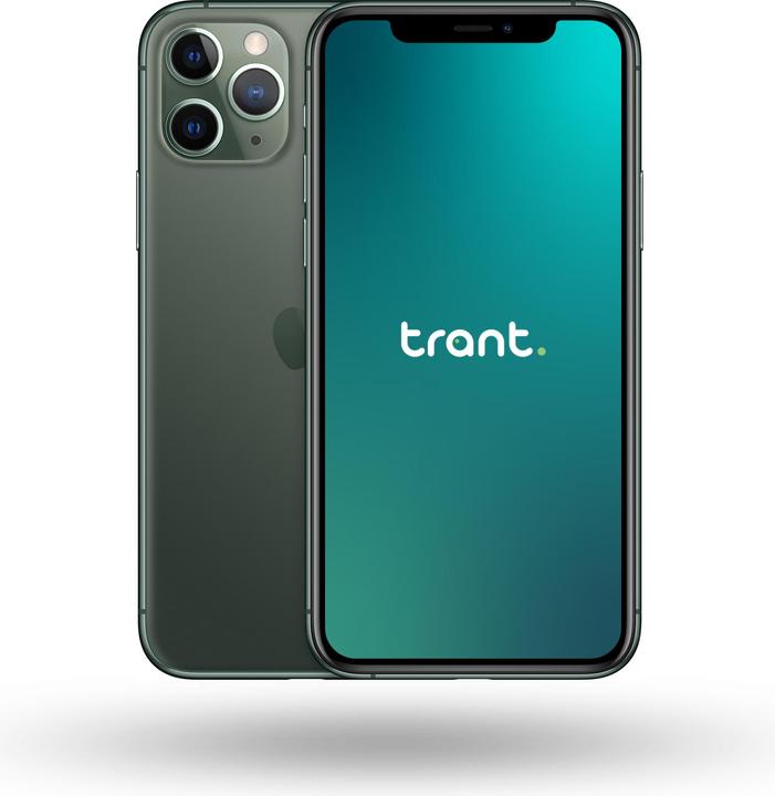 Trant.ch iPhone 11 Pro Max (256 Go, Midnight Green, 6.50", SIM + eSIM, B / Très bon)