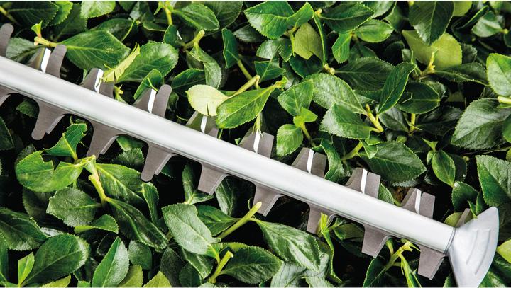 Produktbild Bosch Home & Garden UniversalHedgeCut 18V-50 (Akkuheckenschere)