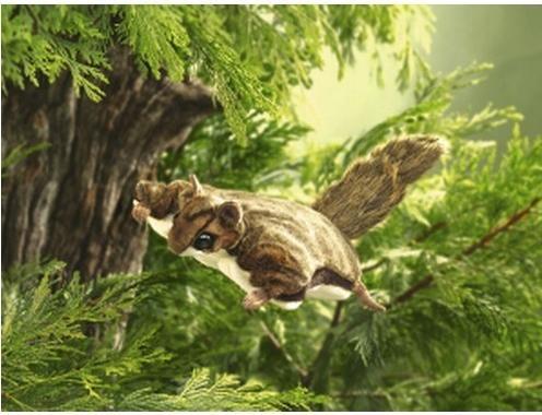 Image du produit Folkmanis Ecureuils volants