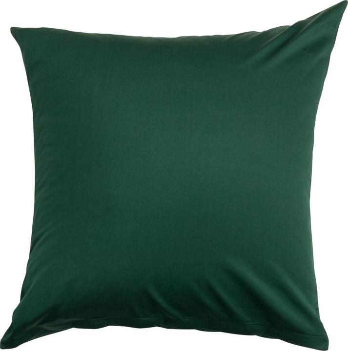 Actual product image Johann Jakob Satina (Pillowcase, 65 x 65 cm)