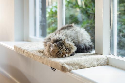 Produktbild Beeztees Fensterbankkissen Moza (Katze)