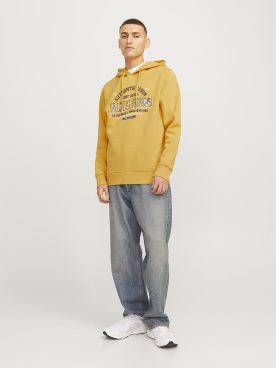 Actual product image Jack & Jones JJELOGO SWEAT HOOD 2 COL 24/25 NOOS (XXL)