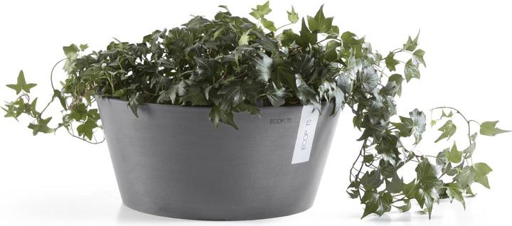 Actual product image Ecopots Frankfurt (50 cm)