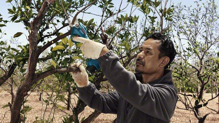Immagine prodotto Bosch Professional Pro Pruner