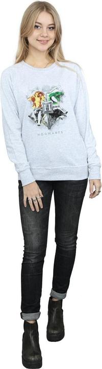 Produktbild Hogwarts Painted Crest Sweatshirt (M)