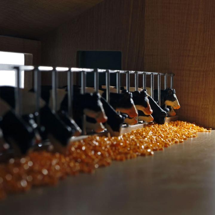 Produktbild Sombo Kinderkugel Loopstal Wood 1:33