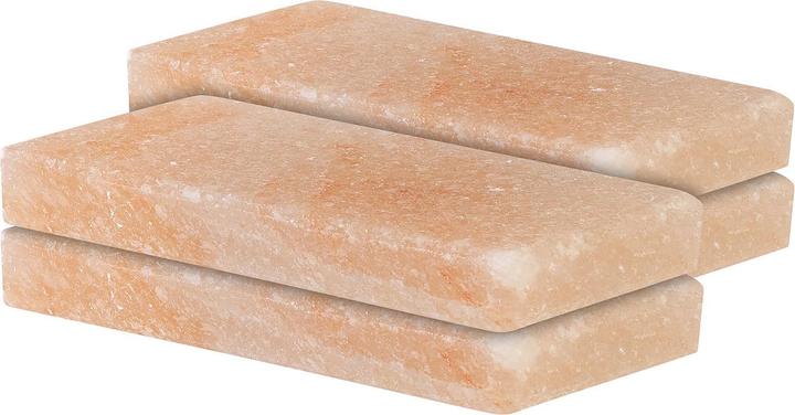 Produktbild Rosenstein & Söhne 4er-Set Salzsteine zum Grillen, 10 x 20 x 2,5 cm