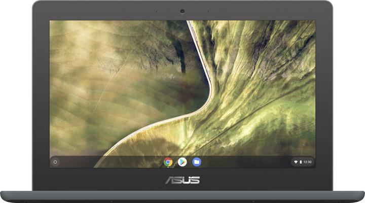 Immagine prodotto ASUS Chromebook C204MA (11.60", Intel Celeron N4020, 4 GB, CH)