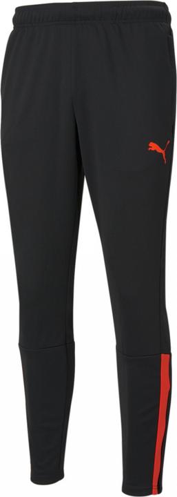 Actual product image Puma TeamLIGA training pants men (XL)