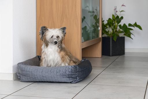 Immagine prodotto Karlie Letto a sdraio in velluto (Cane)