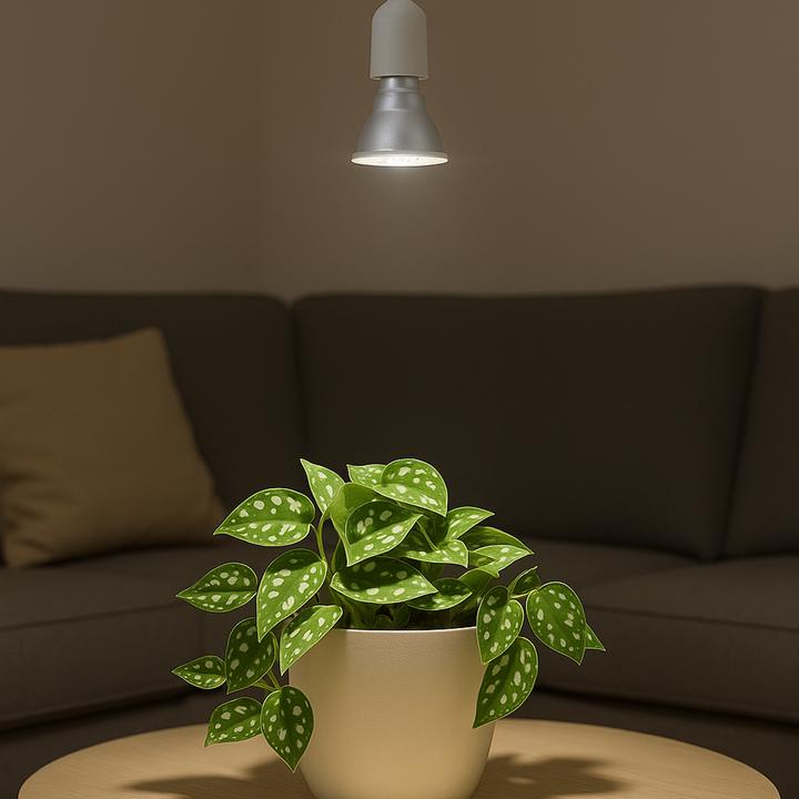Actual product image Venso EcoSolutions E27 plant lamp "Indoor plants" 7W 60 °, improved photosynthesis and higher chloro (LED, 240 V)