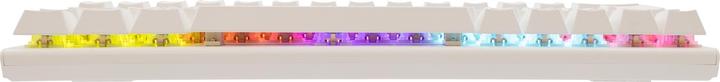 Image du produit White Shark GK-002221V2 Wakizashi-2 White US-Blue.SW (US, Filaire)