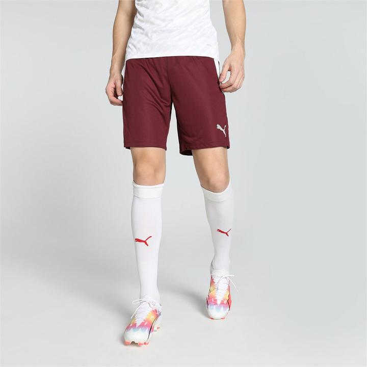 Actual product image Puma teamLIGA Shorts (XS)